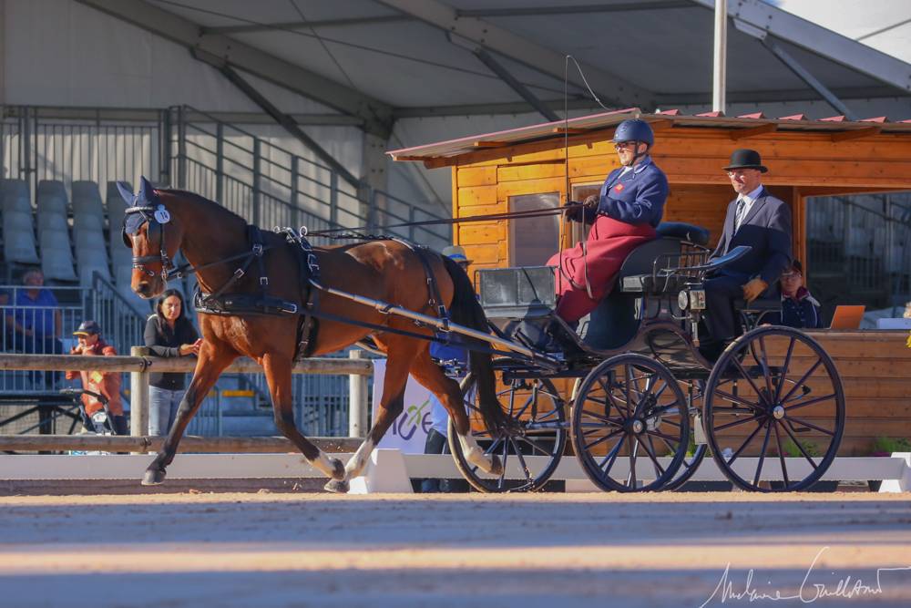 CAIO Pau 2021: Dressage