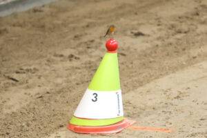 Minimarathons Twentsche Veld en Waal en Linge nog open voor aanmeldingen