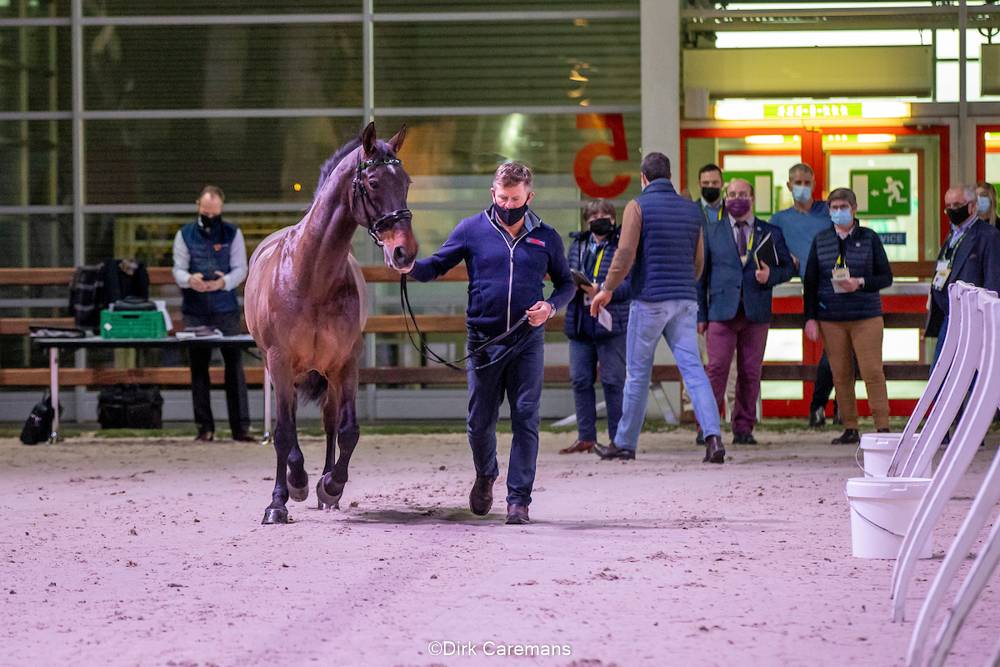 Geneva 2021: Horse Inspection