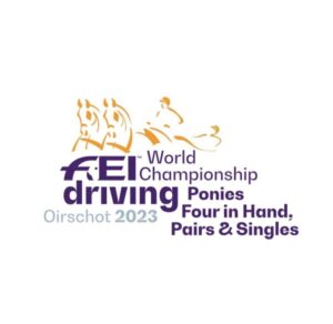 WCH Pony Driving: Small differences in top standings pairs