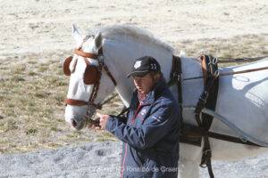 Huge interest for the Lipica Driving Clinic with Boyd Exell and Martin Hölle