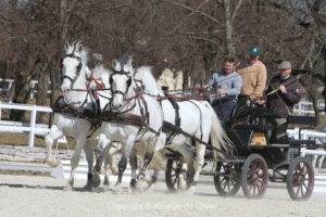 Lipica Stud Farm presents Driving Clinic with Boyd Exell on 12 & 13 March 2022