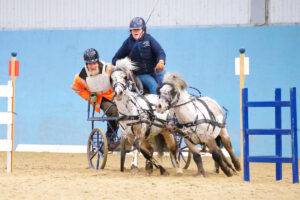 Making National Champions: British Indoor Carriage Driving comes to Arena-UK