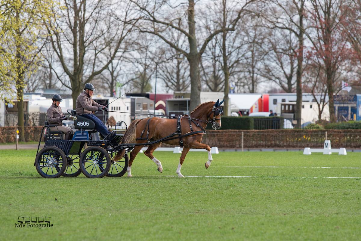 SWM Heukelom: Dressuur