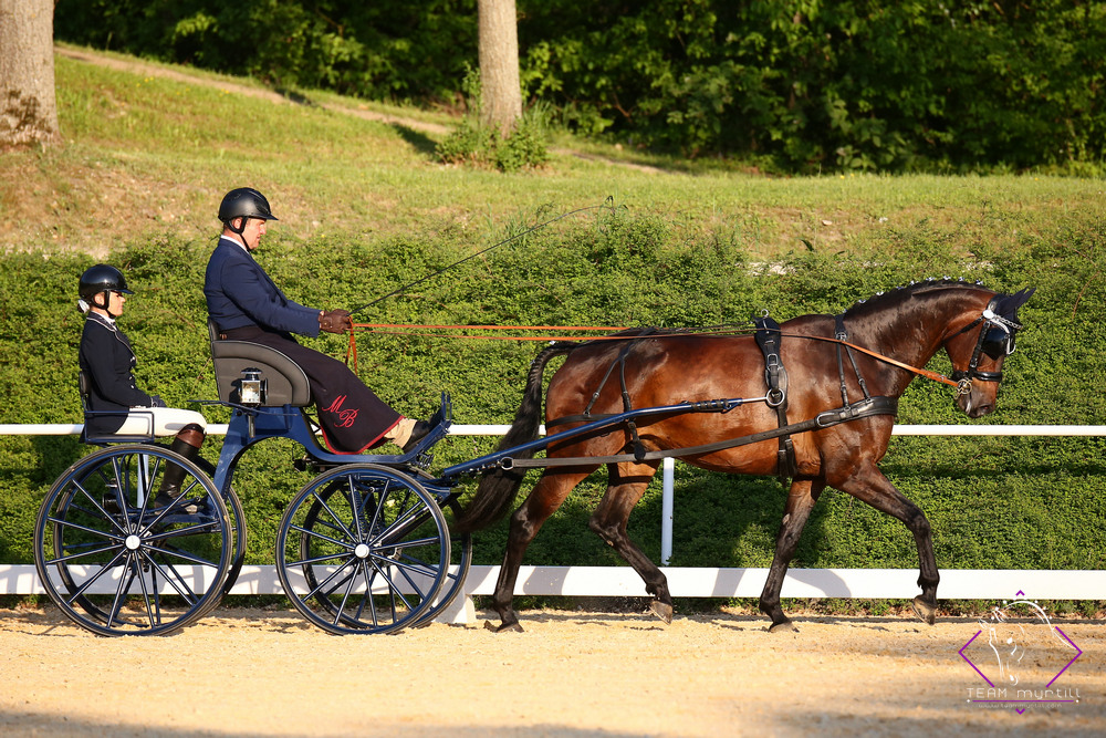 Stadl Paura 2022: Dressage Thursday