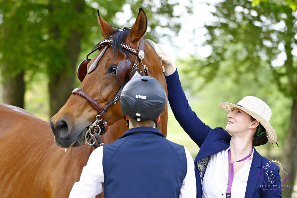 Stadl Paura 2022: Horse Inspection