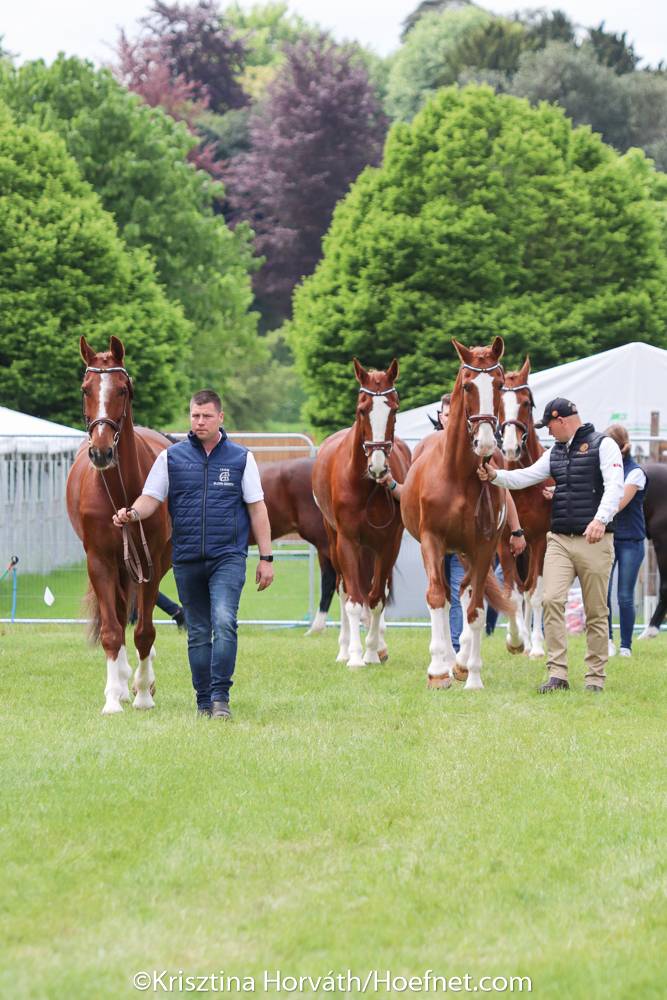 Windsor 2022: Horse Inspection