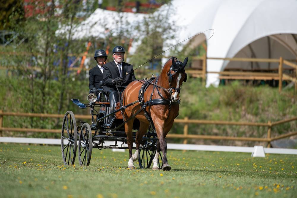 Åstorp 2022: Dressage