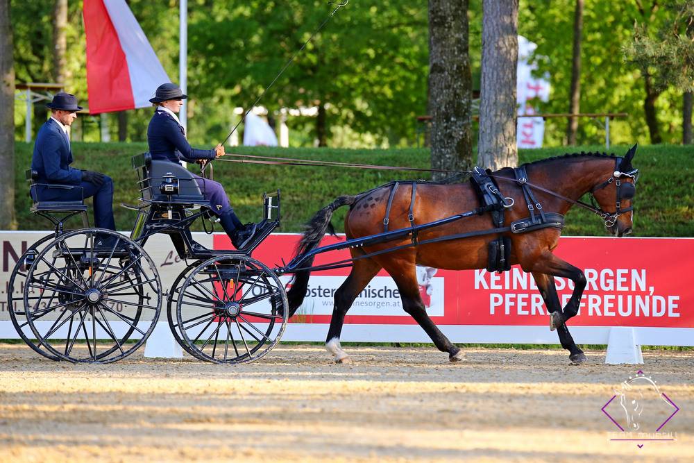 Stadl Paura 2022: Dressage Friday