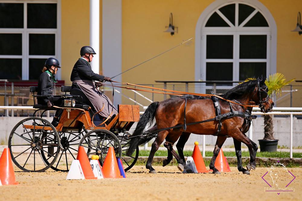 Stadl Paura 2022: Cones