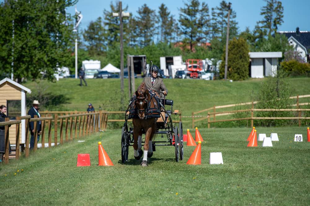 Åstorp 2022: Cones + Prize giving