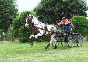 Rudolf Pestman wint CAI*** Greven-Bockholt