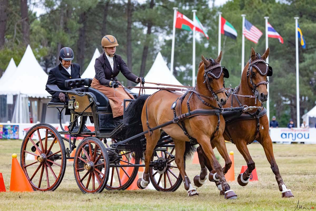 Saumur 2022: Cones