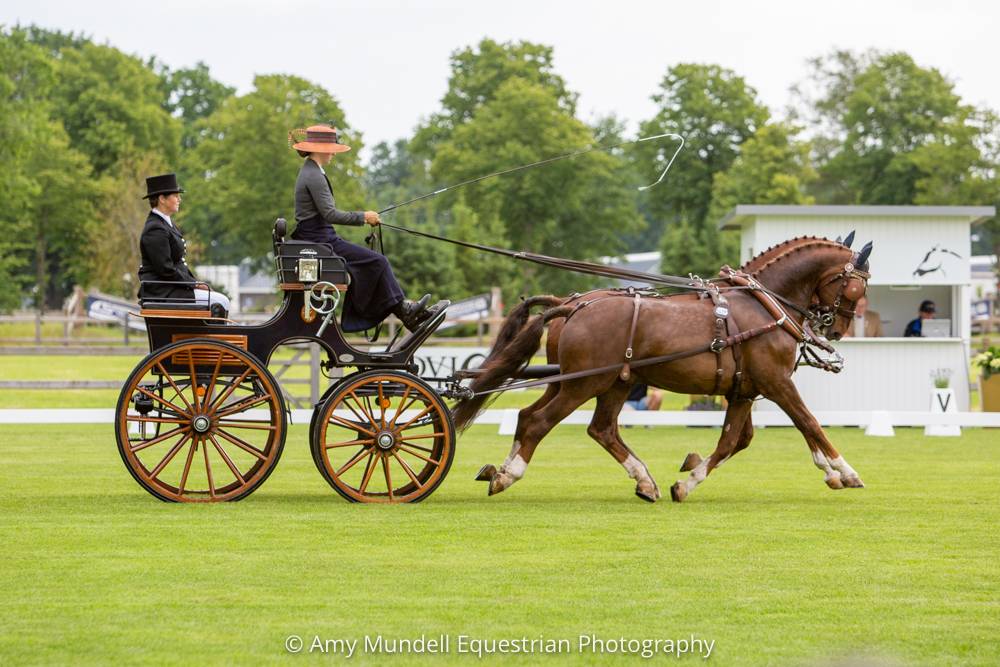 Valkenswaard 2022: Dressage Thursday