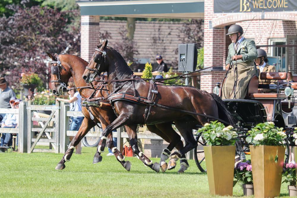 Valkenswaard 2022: Cones