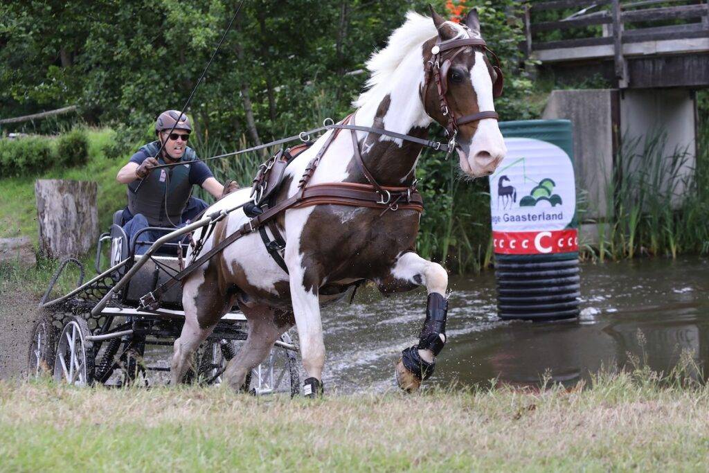 Rudolf Pestman en Ewoud Boom Nederlands kampioen