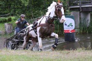 Rudolf Pestman en Ewoud Boom Nederlands kampioen