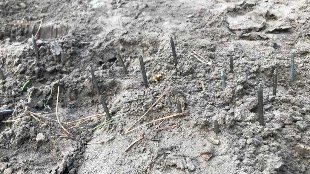 Spijkerplanken gevonden in bossen bij Heeze