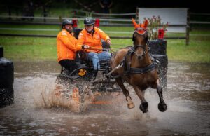 Rustig verlopen weekend in Wenum Wiesel