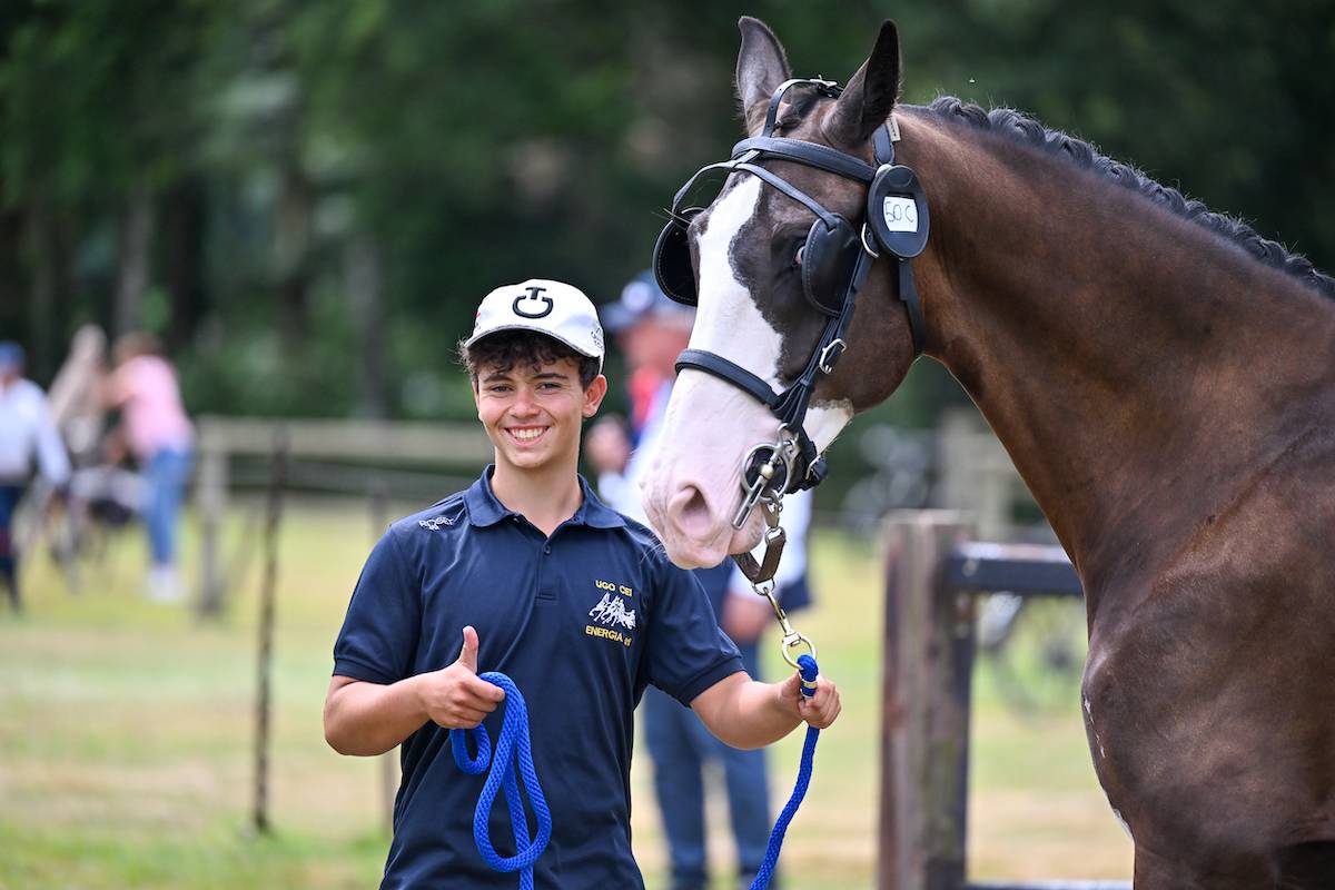 Beekbergen 2022: Horse Inspection