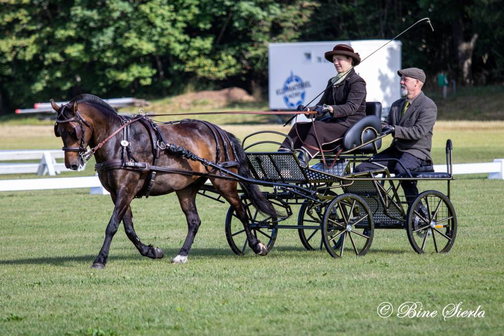 Dronninglund 2022: Dressage Thursday