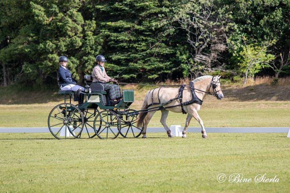 Dronninglund 2022: Dressage Friday