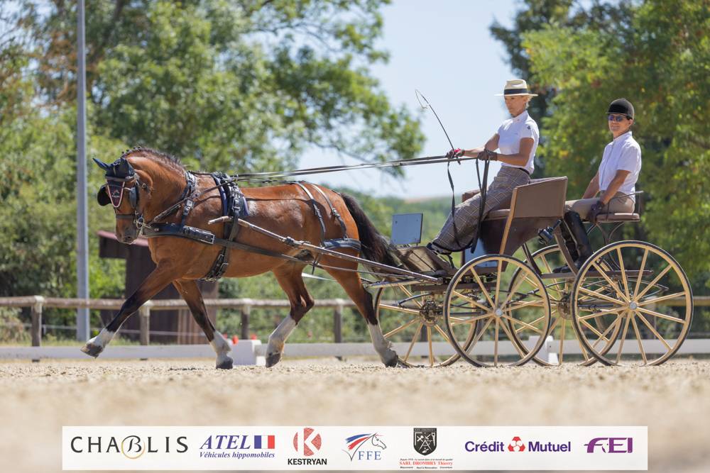 Chablis 2022: Dressage Thursday