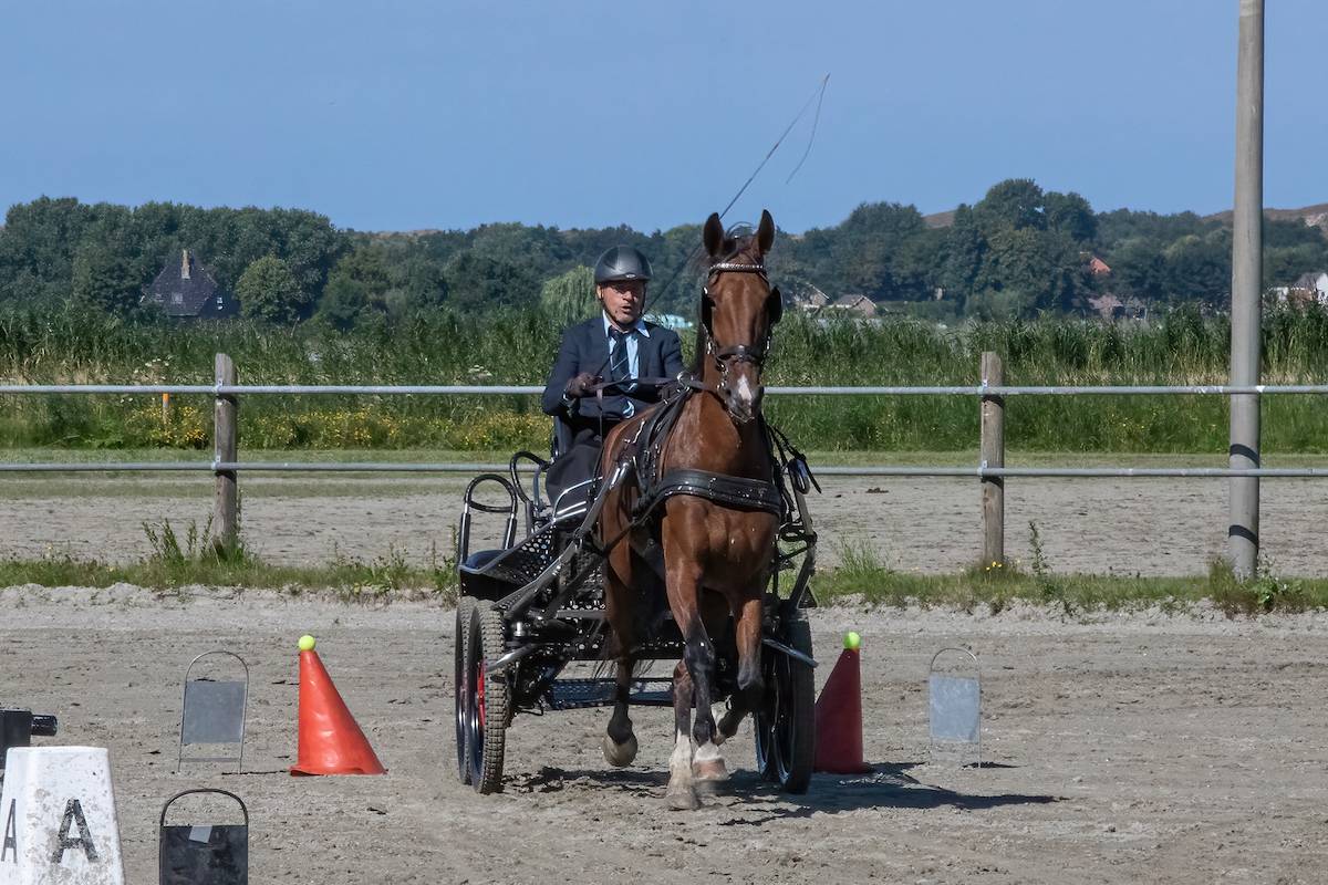 Dressuur en Vaardigheid Heiloo 2022