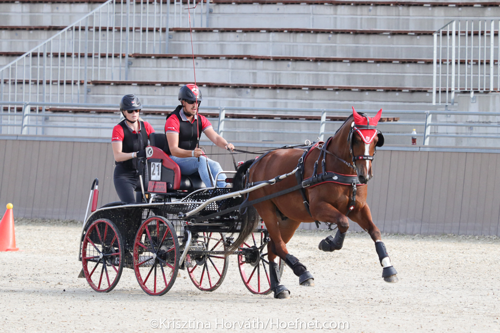 WM der jungen Fahrpferde Szilvásvárad 2022: Gold für Bettina Winkler und Jessica Wächter