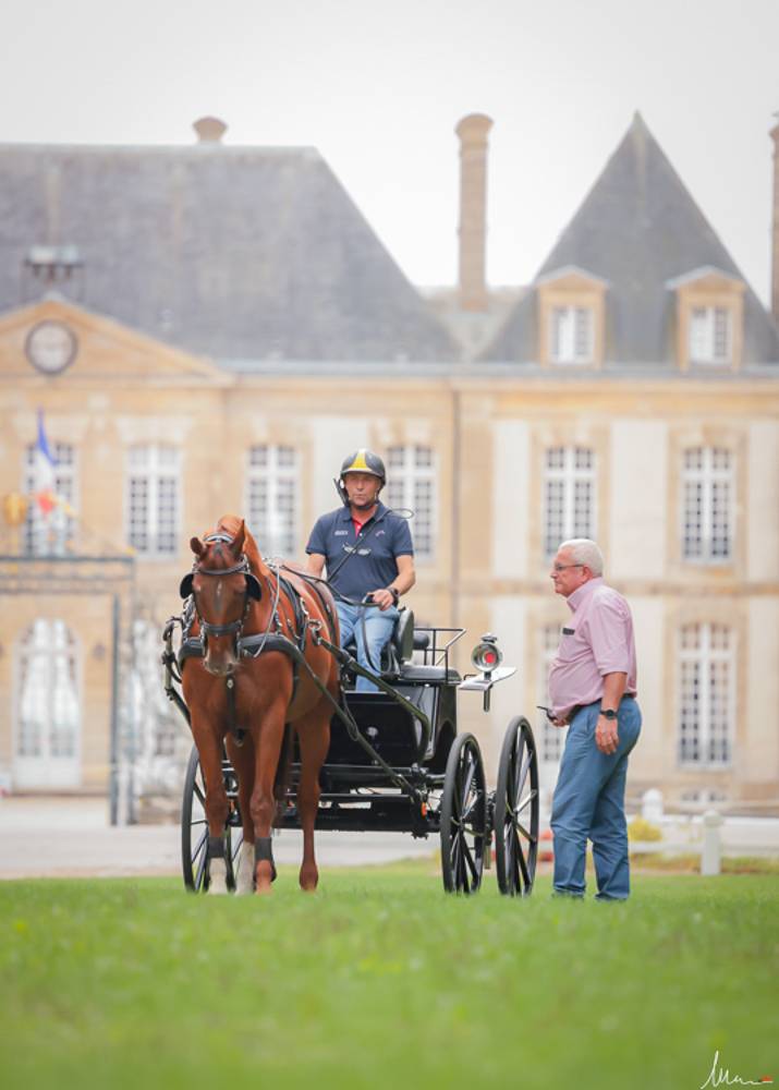 FEI Driving World Championship Le Pin au Haras 2022: arrival Tuesday
