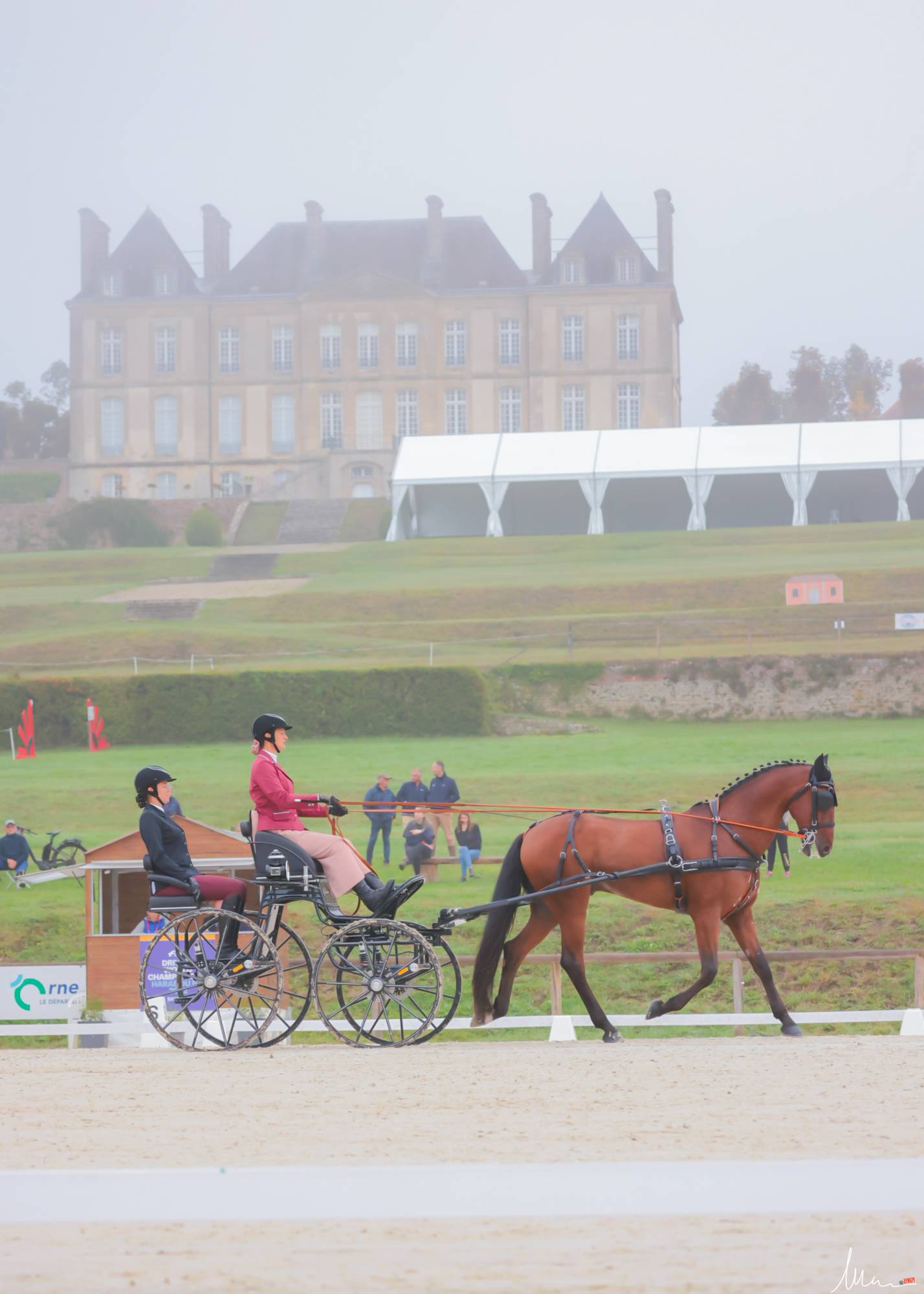 FEI Driving World Championship Le Pin au Haras 2022: Dressage Thursday