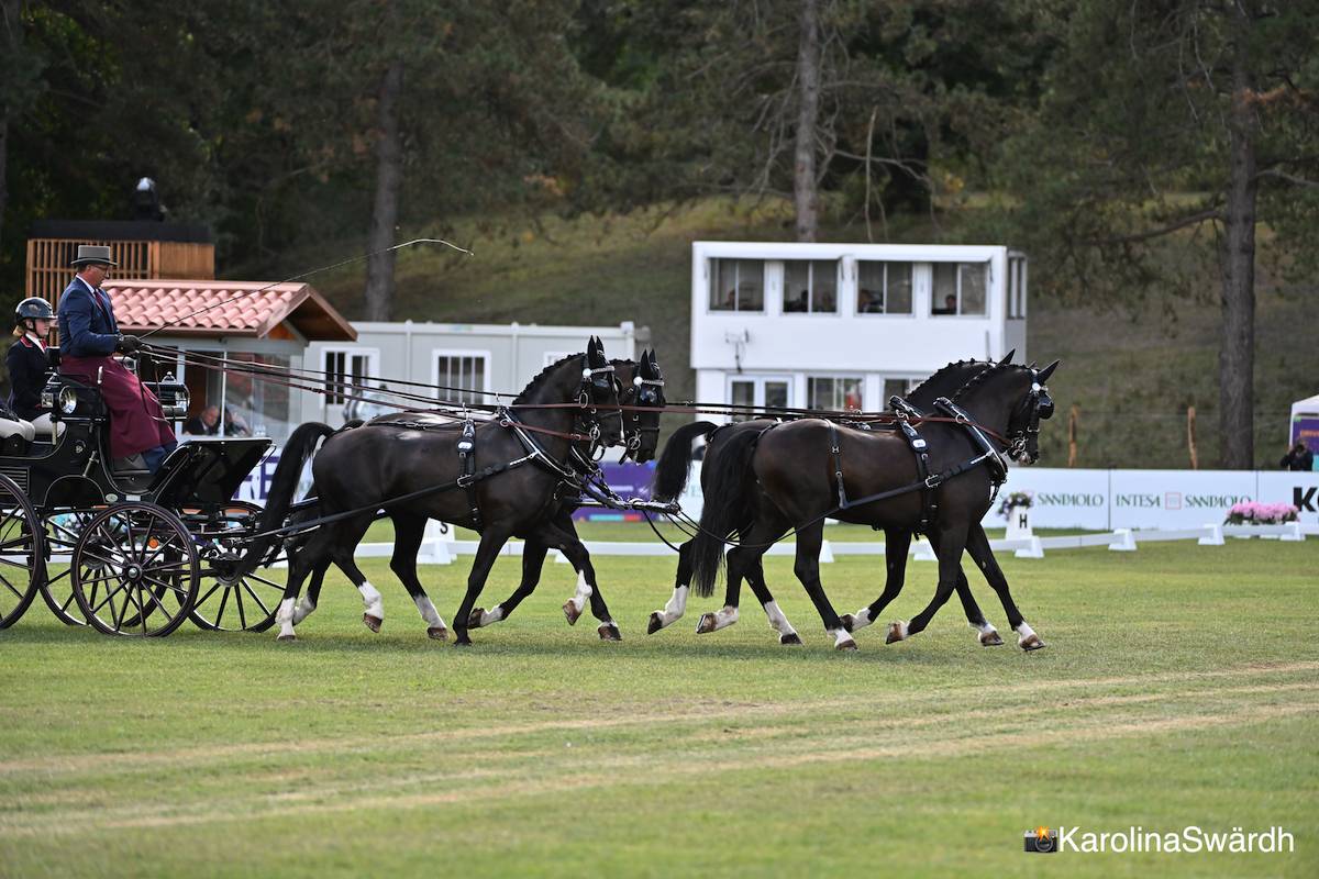 FEI World Championships Pratoni del Vivaro: Dressage Thursday