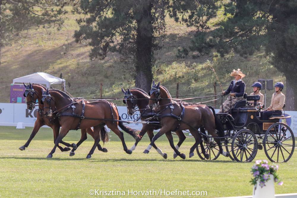 FEI World Championships Pratoni del Vivaro: Dressage Friday