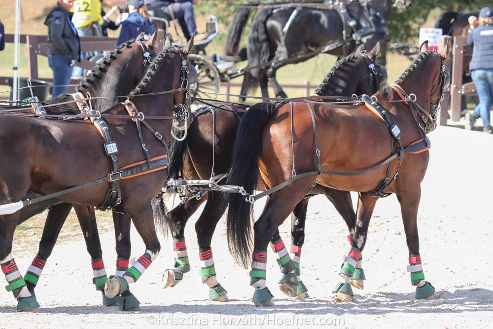 FEI World Championships Pratoni del Vivaro: Marathon