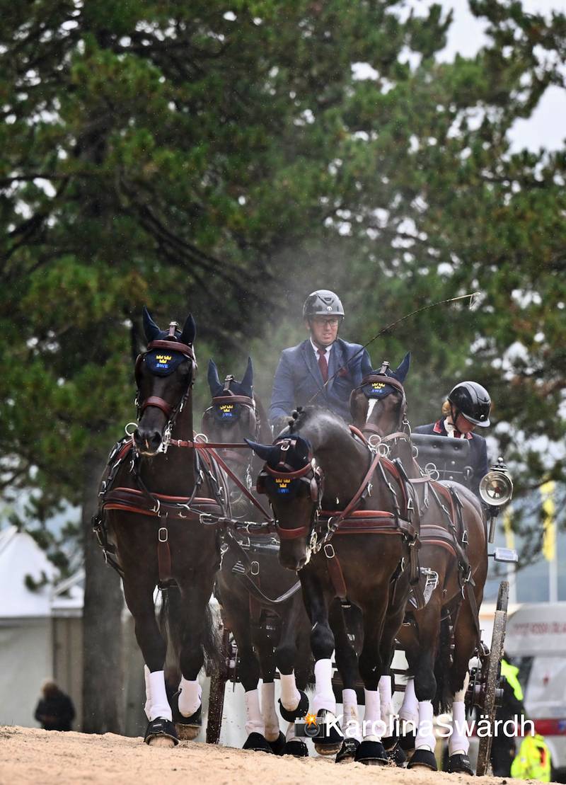 FEI World Championships Pratoni del Vivaro: Cones + Prize Giving