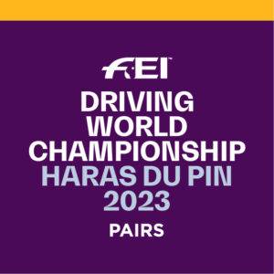 World Championships for Pairs Le Pin: Martin Hölle leads the rankings