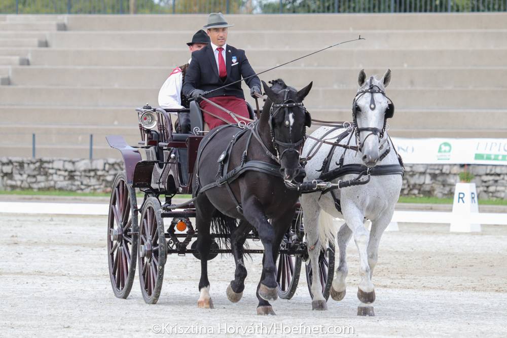 Lipica 2022: Dressage