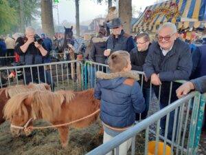 Gemoedelijke Zuidlaarder Paardenmarkt 2022