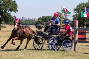 Neues internationales Fahrturnier im Windsor Park