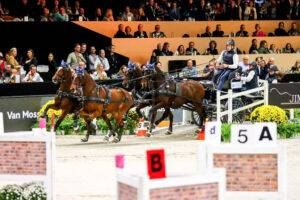 Benjamin Aillaud switches to Lusitano horses