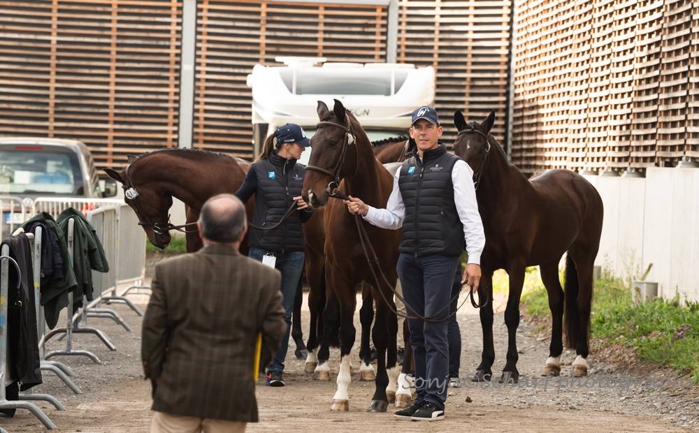 Stuttgart 2022: Horse Inspection