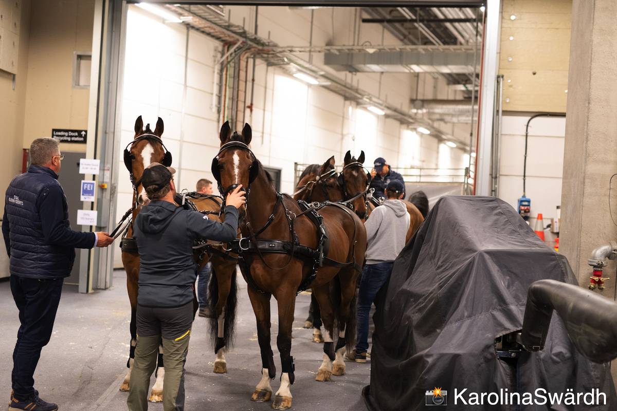 Stockholm 2022: Horse Inspection & Competition 1