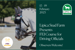 Successful FEI course for driving officials in Lipica