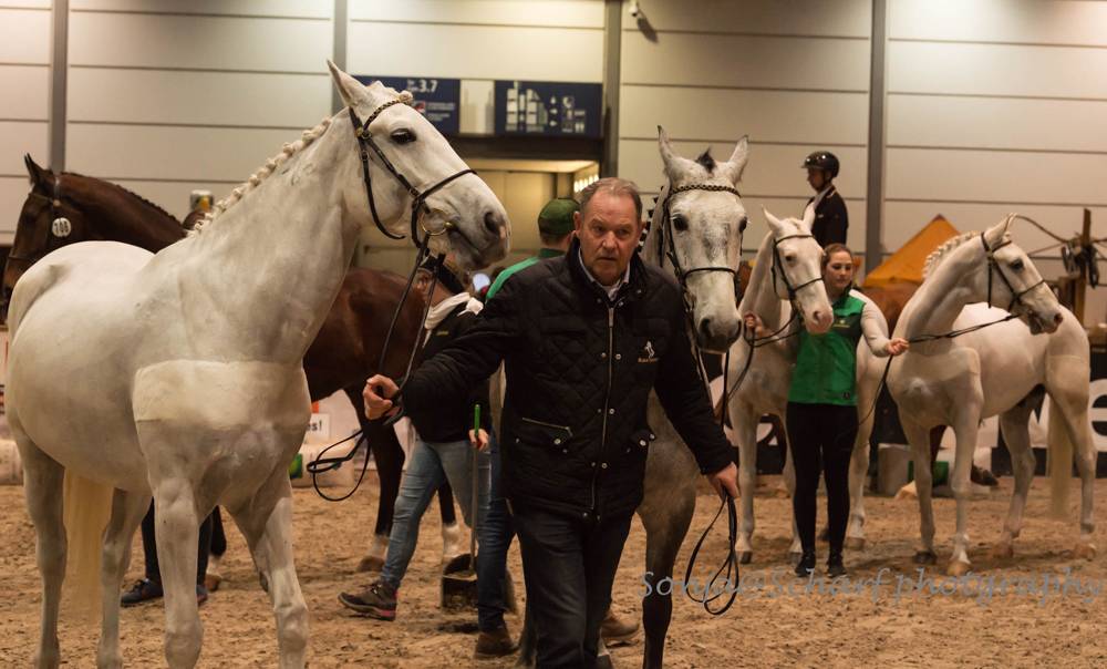 Leipzig 2023: Horse Inspection