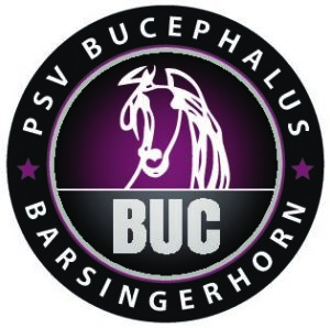 Mennen op een toplocatie bij Bucephalus Barsingerhorn!