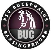 Bucephalus Barsingerhorn sluit indoorseizoen af met dressuurwedstrijd