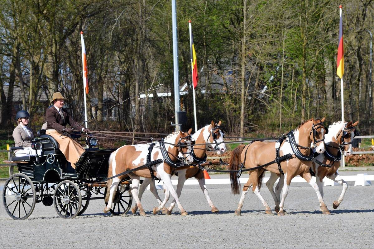 Exloo 2023: Dressage Friday