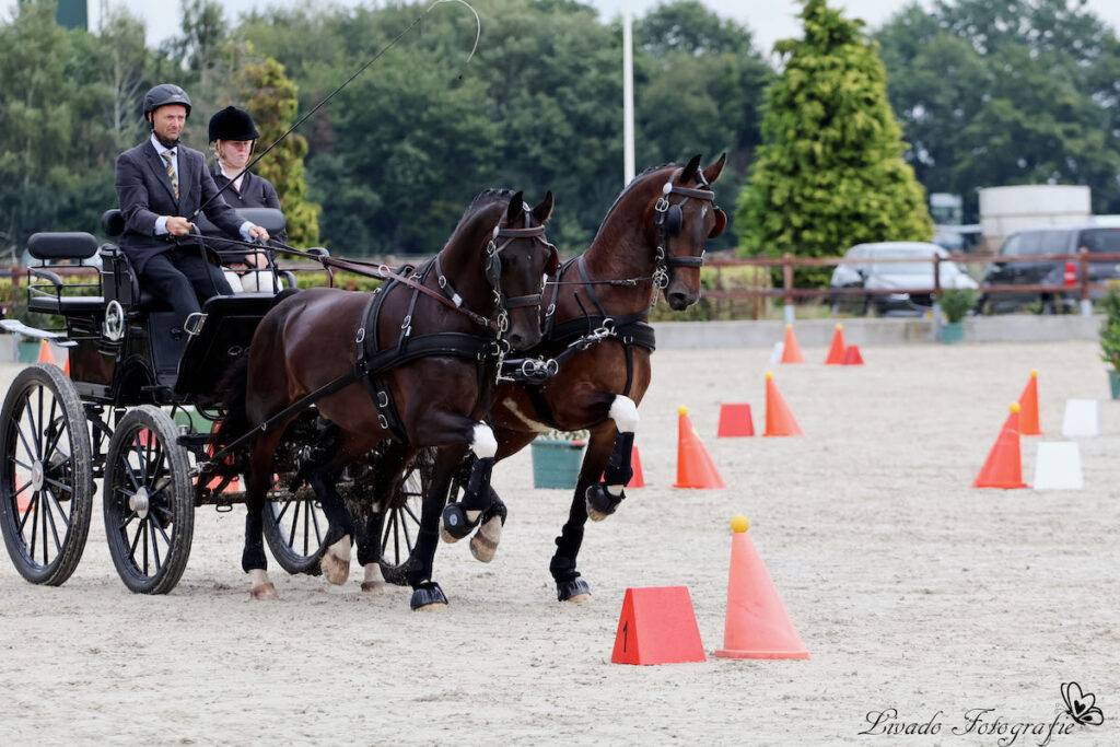 Succesvolle eerste oefenvaardigheid in Steensel