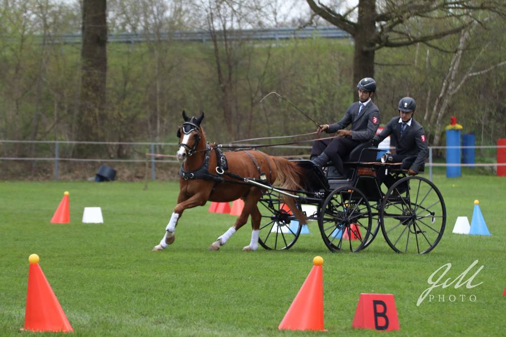 Wettringen 2023: Dressage and cones