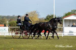 Morkov – Raevebjerg 2023: Dressage Thursday